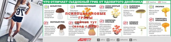 дживик Гусиноозёрск