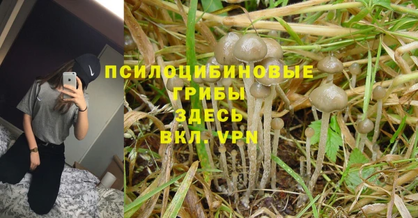 кокаин колумбия Елабуга
