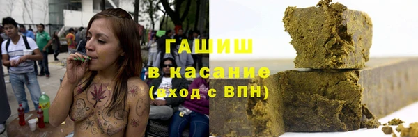бошки Дмитров